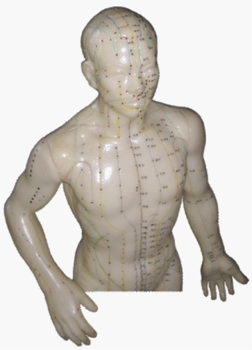Traditional Chinese Medicine and the SCENAR